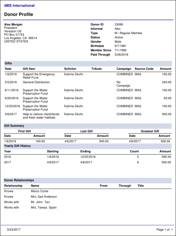 Viewing the Donor Profile report example